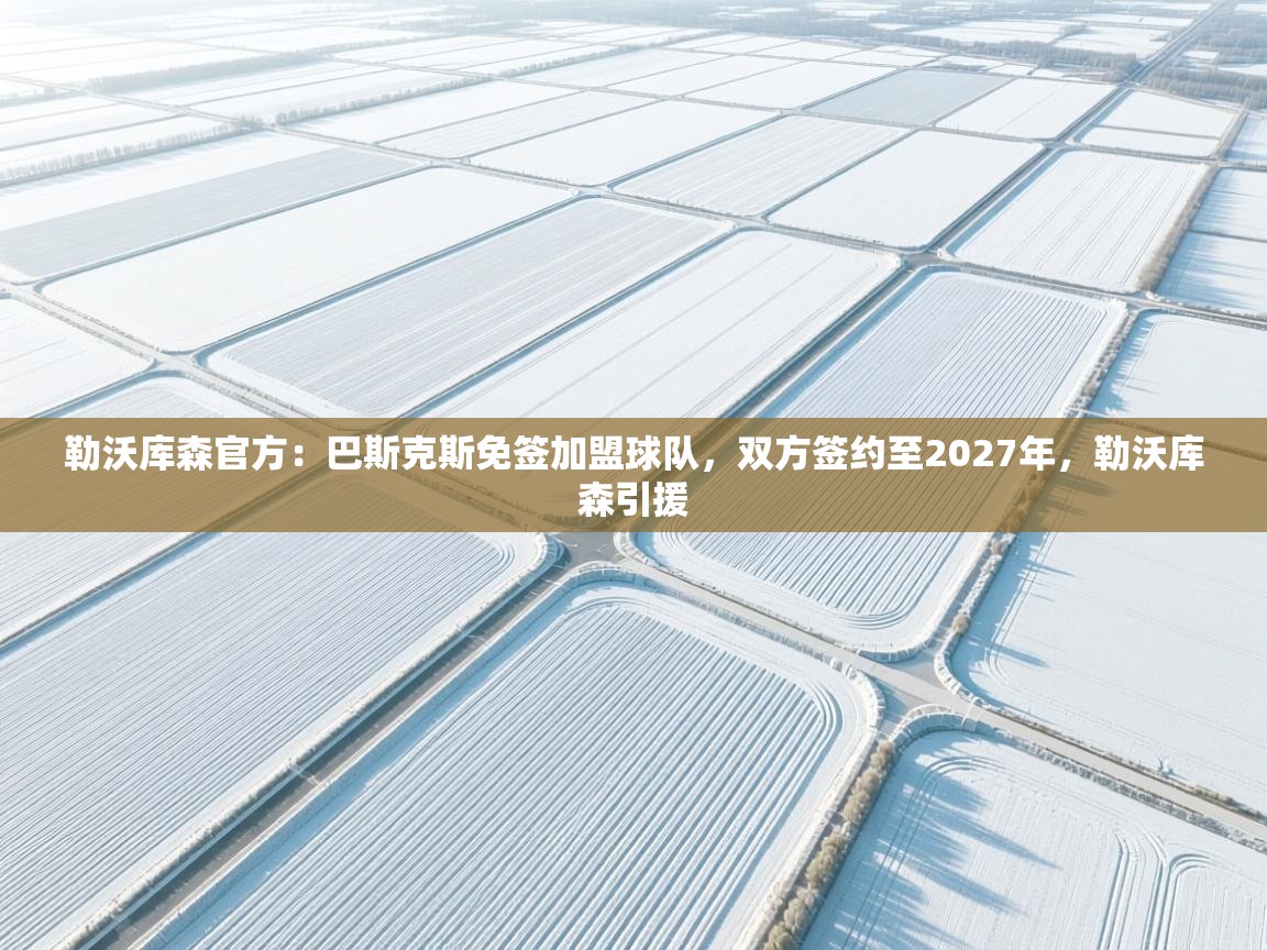 开云体育app下载-勒沃库森官方：巴斯克斯免签加盟球队，双方签约至2027年，勒沃库森引援  第4张