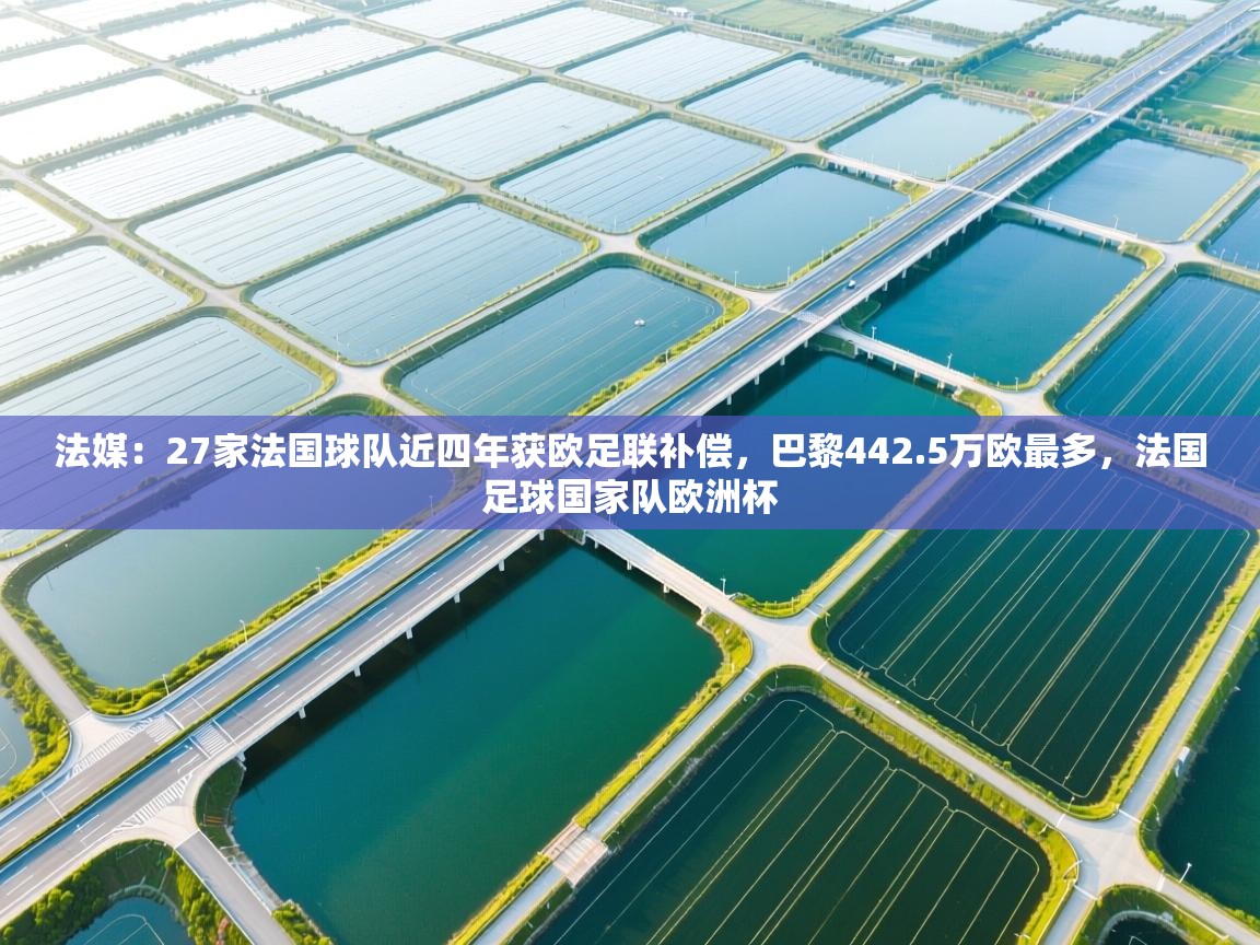 开云·体育kaiyun官方网站_kaiyun sports-法媒:27家法国球队近四年获欧足联补偿,巴黎442.5万欧最多,法国足球国家队欧洲杯 第4张