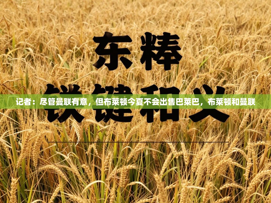 开云体育赛程表查询-记者：尽管曼联有意，但布莱顿今夏不会出售巴莱巴，布莱顿和曼联  第3张