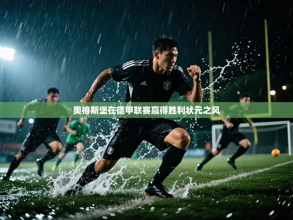 开云网页版-奥格斯堡在德甲联赛赢得胜利状元之风  第3张