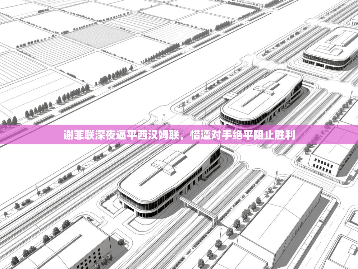 开云体育登录入口网址-谢菲联深夜逼平西汉姆联，惜遭对手绝平阻止胜利  第1张