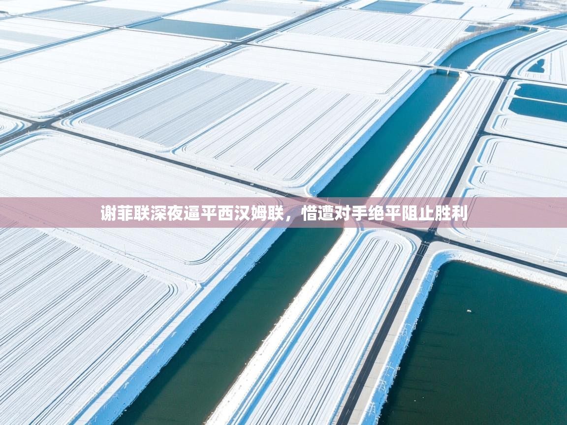 开云体育登录入口网址-谢菲联深夜逼平西汉姆联，惜遭对手绝平阻止胜利  第3张