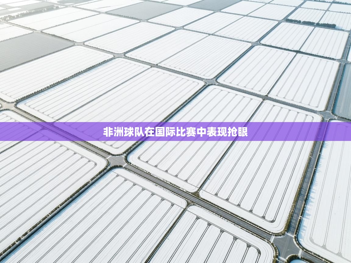 开云体育入口手机版-非洲球队在国际比赛中表现抢眼  第3张